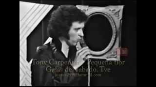 Tony Carpenter - Pequeña flor (Videos del recuerdo)