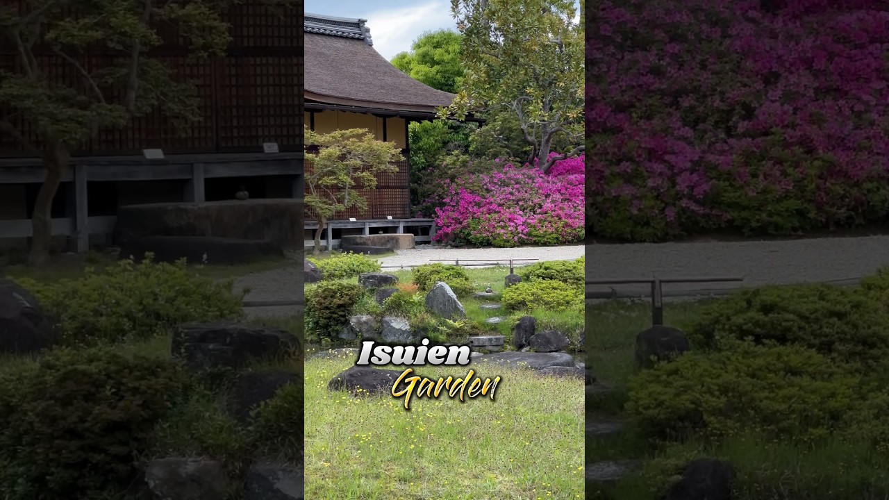 YouTube Short thumbnail