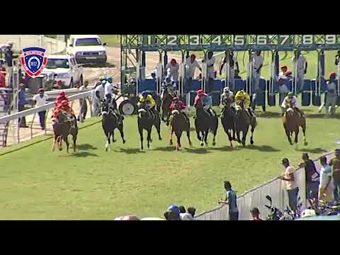 RM37 R4 - In Your Dreams