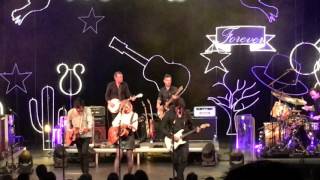 Common linnets - arms of Salvation (Maastricht 7-5-2016)