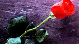 Janis Joplin  The Rose
