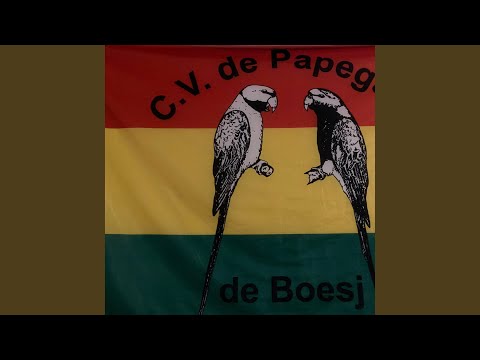 Hey papegaaje (feat. Boesjer Zooitje) (Schlager leedjesmiddig 2020)