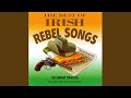 The Bold Fenian Men