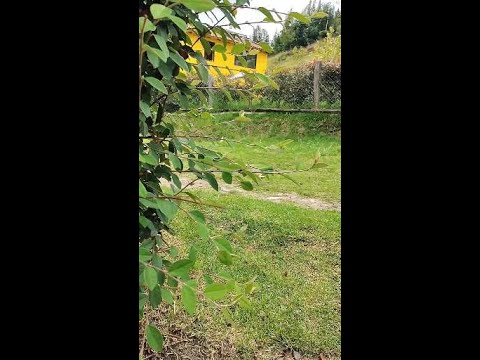 La finca productiva de tus sueños #shorts