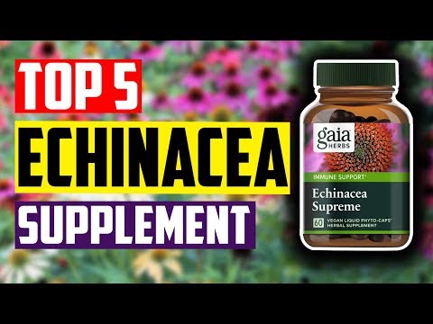 Best Echinacea Supplement: Top 5 Best Echinacea Supplement for Immune Boosting