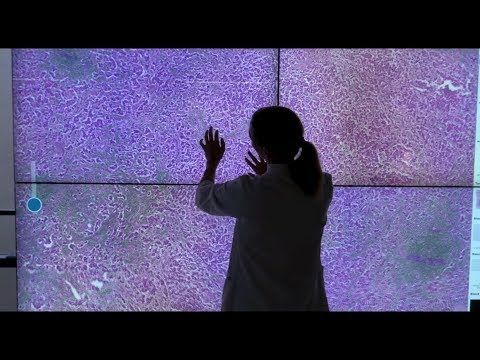 UPM-Kymmene Corporation