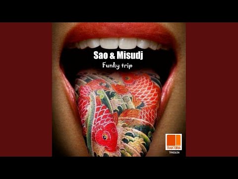 Funky trip (Original Mix)