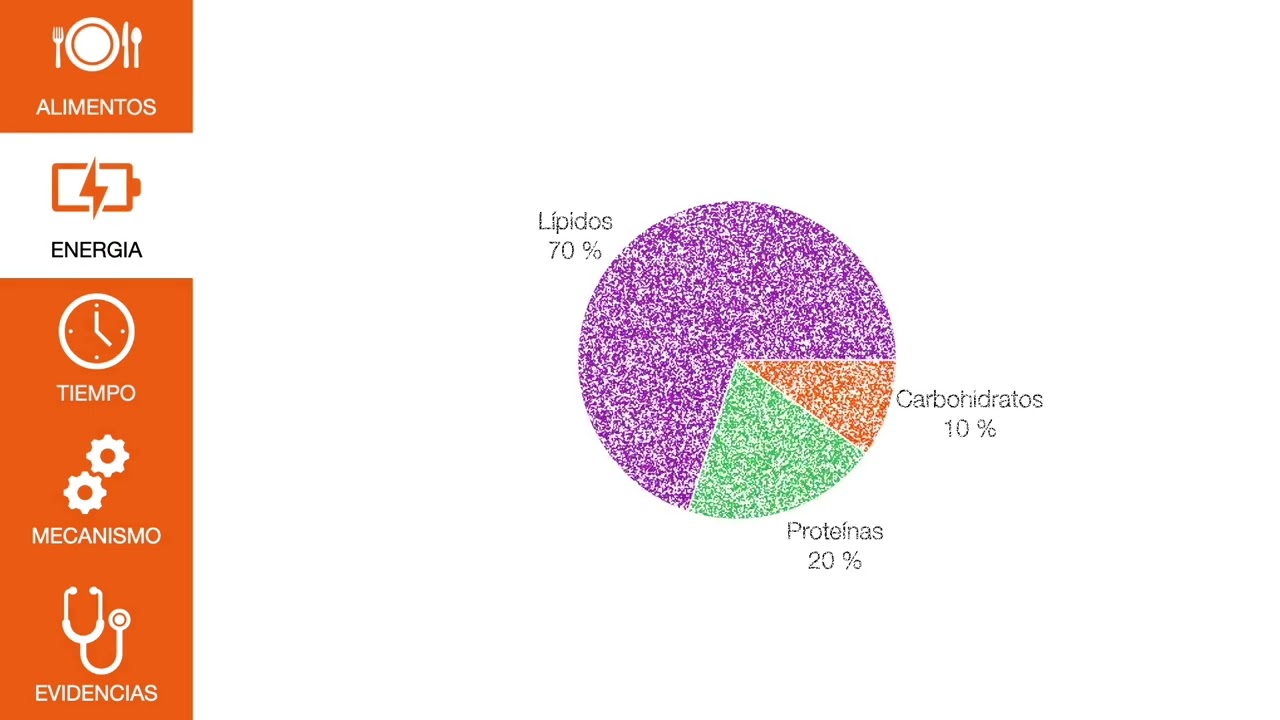Dietas y EM - Dietas paleolítica y cetogénica