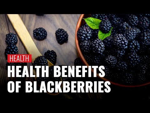 Blackberries Benefits: Know Why You Should Eat Blackberries During Pregnancy