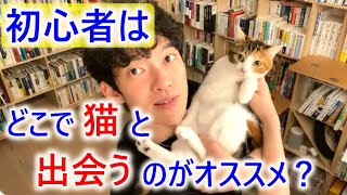 ペット初心者に保護猫をオススメする理由を解説！ペットショップはやめた方がいいよ。【メンタリストDaiGo　切り抜き】