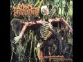 Carnal Disfigurement Inhuman Devoured Content From Cranial Cavity 2011 Full Album