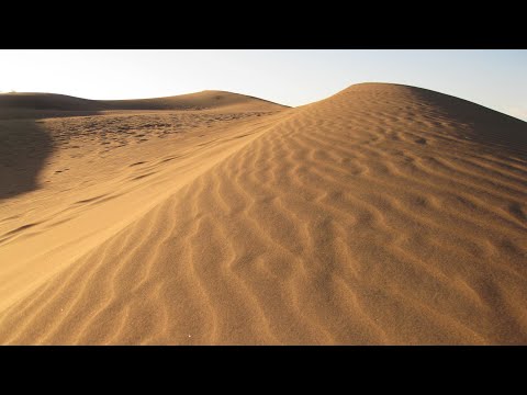 Arsénico en Lavalle