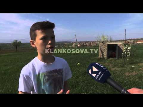 Gjarpërinjtë rrezikojnë familjen Foniqi nga Malisheva - 04.04.2016 - Klan Kosova