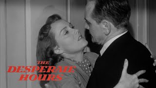 Original Trailer