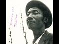 Hound Dog Taylor :  I Just Can't Make It (1971)