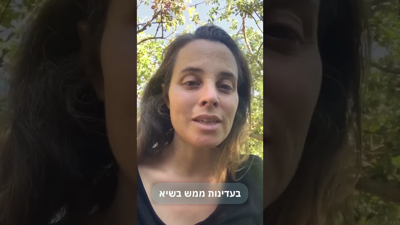 רימון כהן