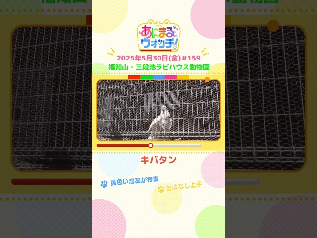 動画イメージ
