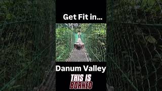 Download lagu Borneo…#jungleadventure mp3