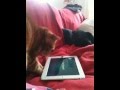 Obélix et sa tablette....eh! oui même les chats s'y mettent......autres vidéos:Maru....