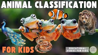 Animal Classification for Kids | Mammals Reptiles Amphibians Fish Birds