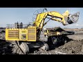 Biggest Excavator In The UK Shorts