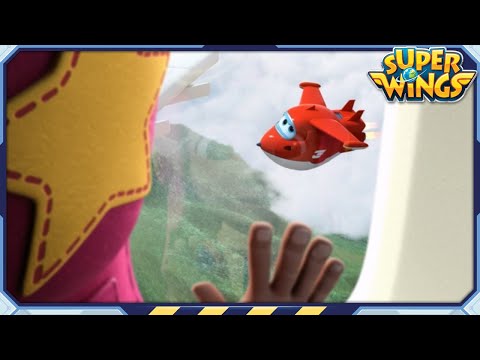 Witness21 Editor  2023 12 21