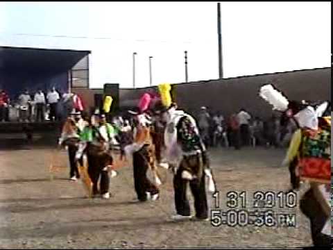 negrillos de talavera