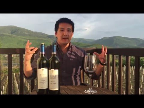 North Macedonian RED Wine from Elenov Winery and a Lesson in Enotourism
