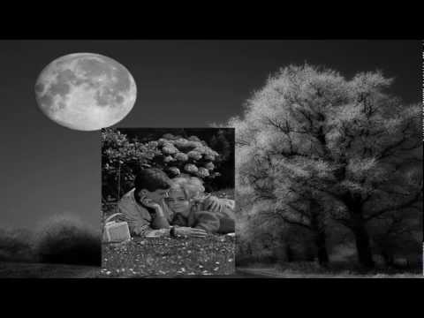 The Anita Kerr Quartet - Dreamsville