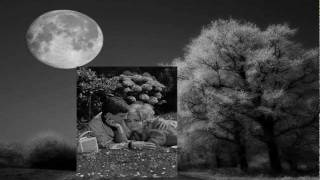 The Anita Kerr Quartet - Dreamsville