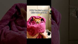 What should we name him? 😂 he’s a talkative little kitty 🐱#pov #cats #newbornkittens #straycat