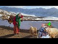 A Nomadic Mother Searching For Barfi In The Frozen Mountains ️