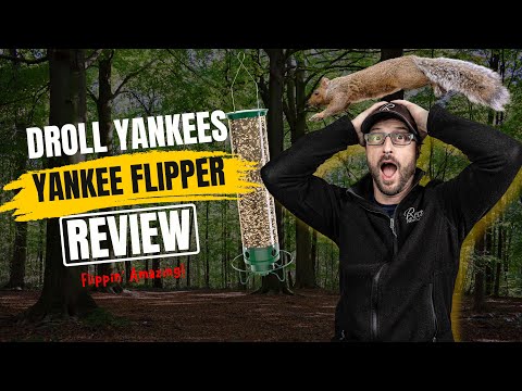 Ultimate Squirrel-proof Feeder: Droll Yankees Yankee Flipper Review! #birdfeeder