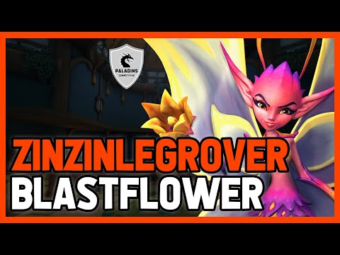 ZinZinLeGrover Willo Competitive (Master) BLASTFLOWER