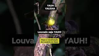 20 de janeiro de 2026