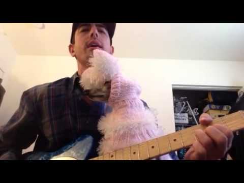 Here Comes Roxy Cottontail