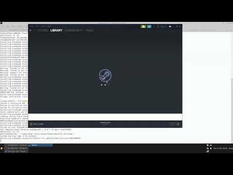 aex-emu steam startup