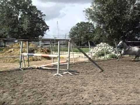 FOR SALE - 2010 BY QUALITY TIME X GRANNUS