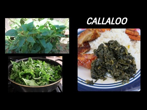 Belizean Callaloo | Healthy Caribbean Greens | Vegan Dish