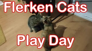 Flerken Cats Play Day
