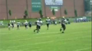 preview picture of video 'Baltimore Ravens Training Camp 2008 - Special Teams'