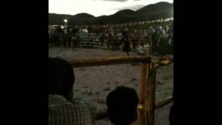 preview picture of video 'Panda vs el gladiador en san carlos yautepec 2011'