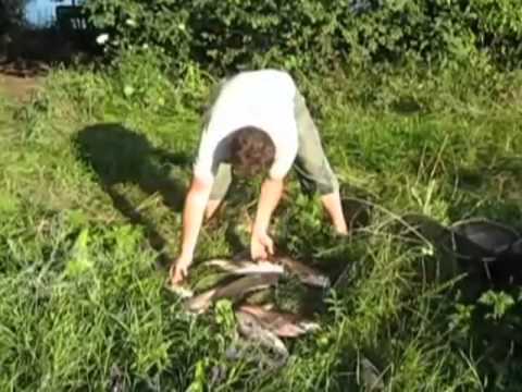 Безымянный