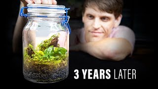 Closed Tropical Terrarium - 3 Years Strong!