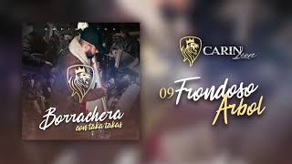 Frondoso Arbol Music Video