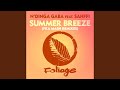 Summer Breeze (Fka Mash Re-glitch Edit)
