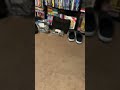 VHS Update 8 12 2022