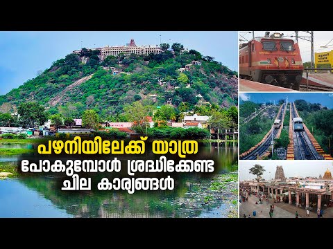 പഴനിയിലേക്ക് യാത്ര പോകുമ്പോൾ ശ്രദ്ധിക്കേണ്ട ചില കാര്യങ്ങൾ | Palakkad to Palani | Palani Temple