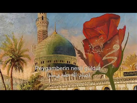 Güldür Gül ~ C'est la rose, la rose.  Ottoman song by Nesimi