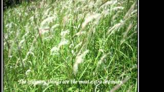 The Lord Is Real (Time Will Reveal)